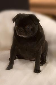 Betty